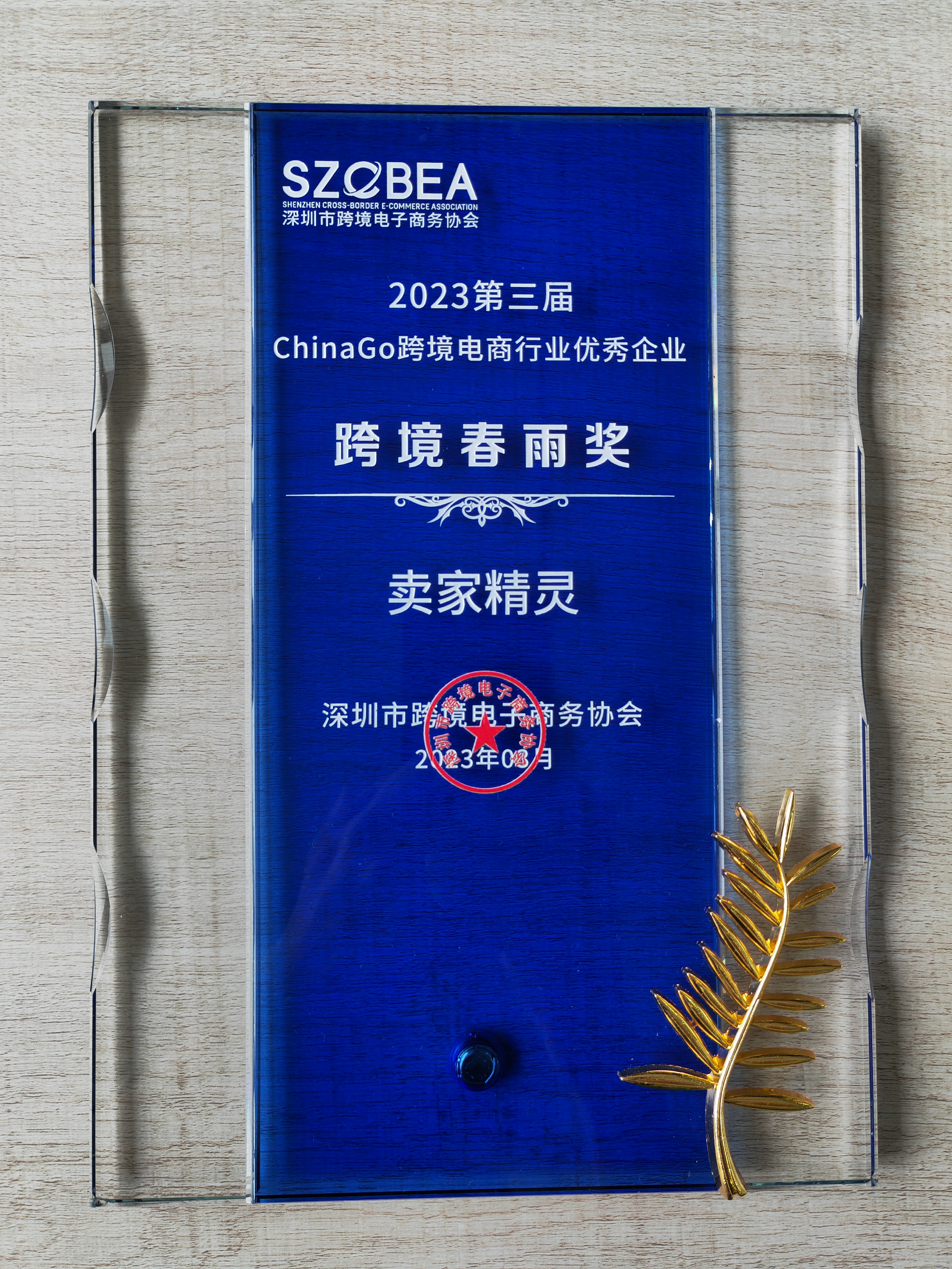 ChinaGo跨境电商行业优秀企业-2023跨境春雨奖