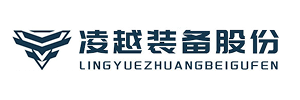 常州市凌越信息技术服务有限公司