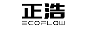 深圳市正浩创新科技股份有限公司